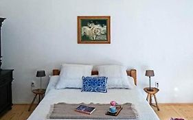 Ani Guesthouse Richis